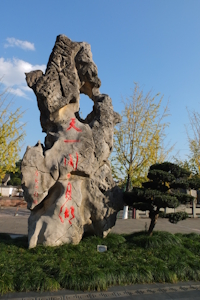 Tianyi Ge Museum and Moon Lake Scenic Area