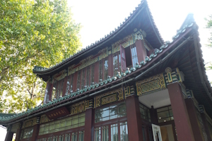 Avant-Garde Bug Bookstore